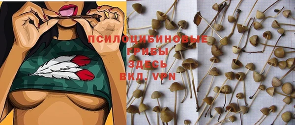 mdma Кодинск