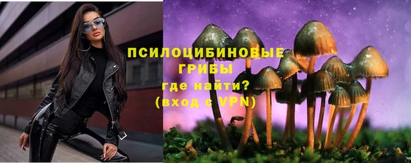соль ск Балабаново